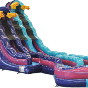 20 Galaxy Voyager Curved Inflatable Dual Slide Wet/Dry