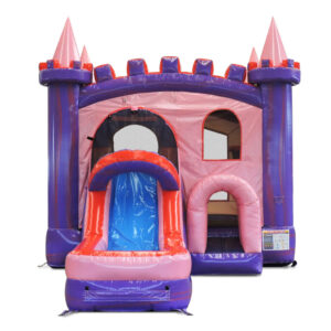 4in1 Princess Combo Wet/Dry