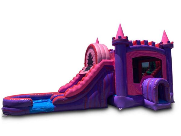 5in1 Princess Combo Dual Lane Wet/Dry